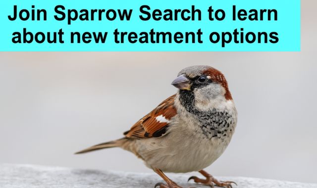 Sparrow Search