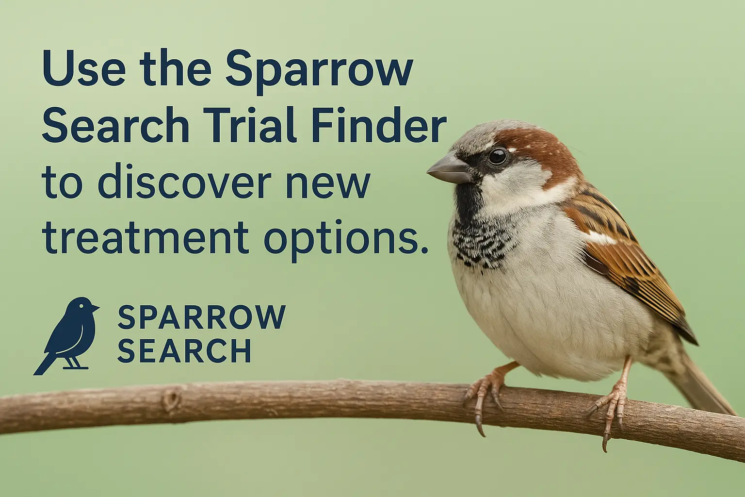 sparrow-search-login